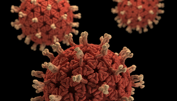 Ako predchádzať vírusovým ochoreniam?