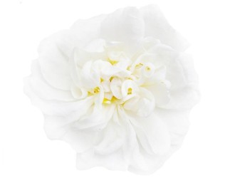 Dezinfekčný aróma olej White Flower, 500 ml